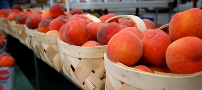 SC Peach Season: the most wonderful time of the year!